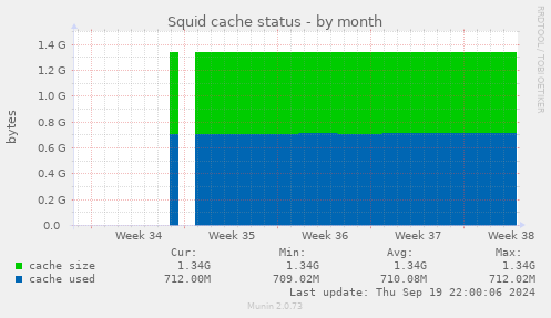 Squid cache status