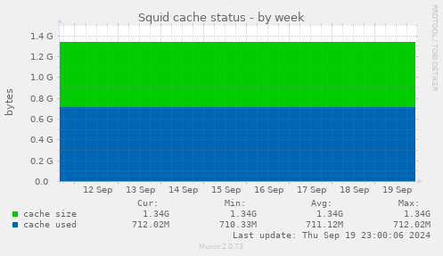 Squid cache status